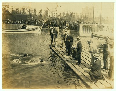 1904 Olympics - Finish of 220 Yard Swim Competition by Unknown